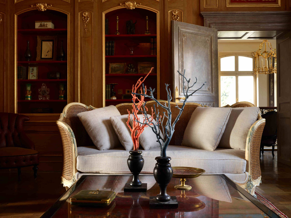 Salle de réception du château avec le canapé et la bibliothèque
